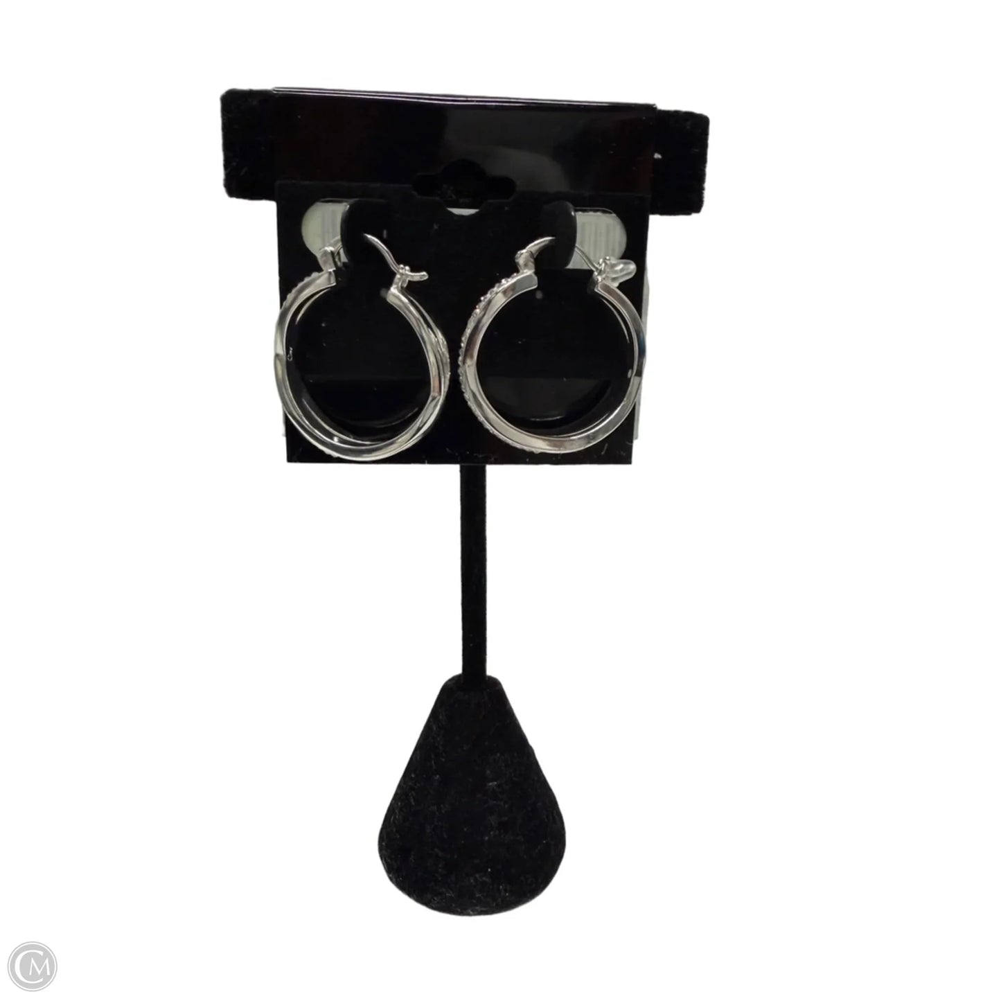 Earrings Hoop