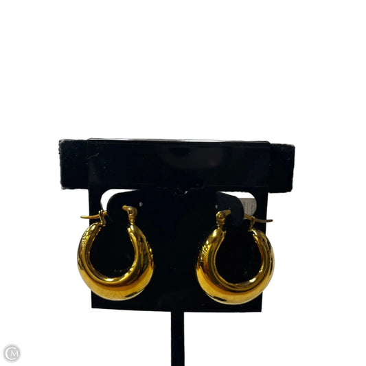 Earrings Hoop