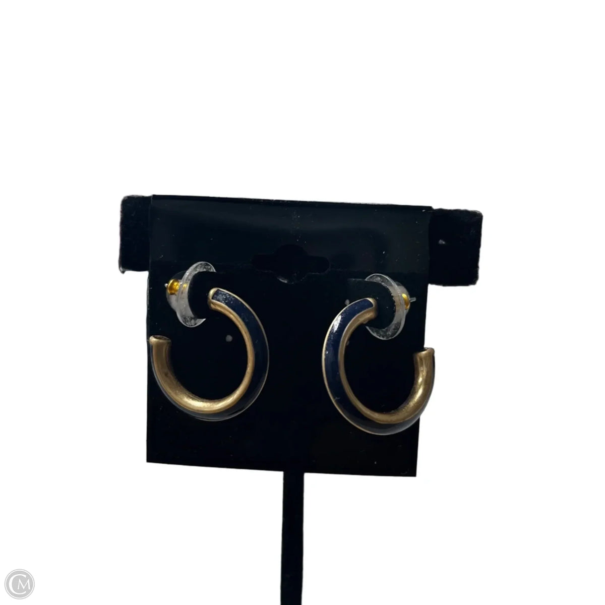 Earrings Hoop