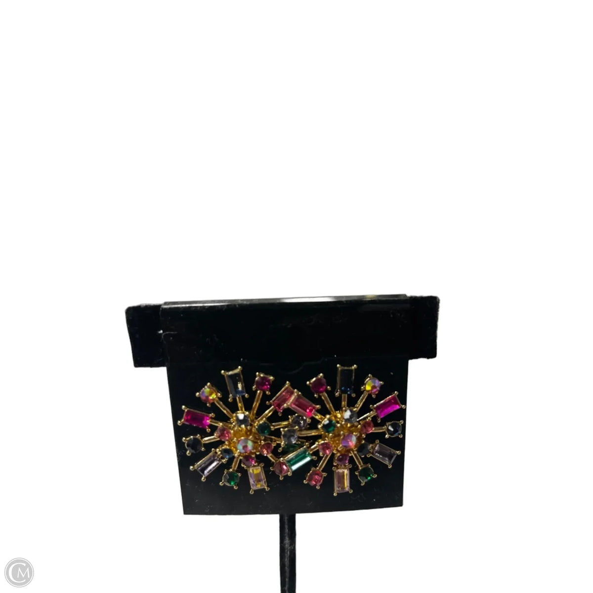 Earrings Other By Inc