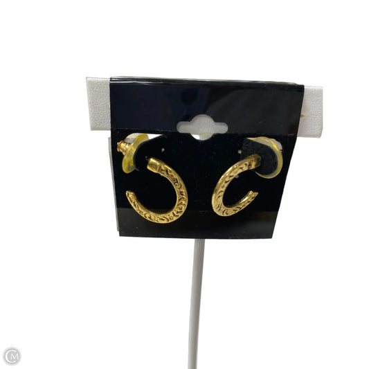 Earrings Hoop