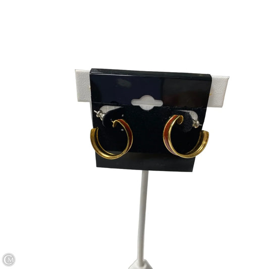 Earrings Hoop