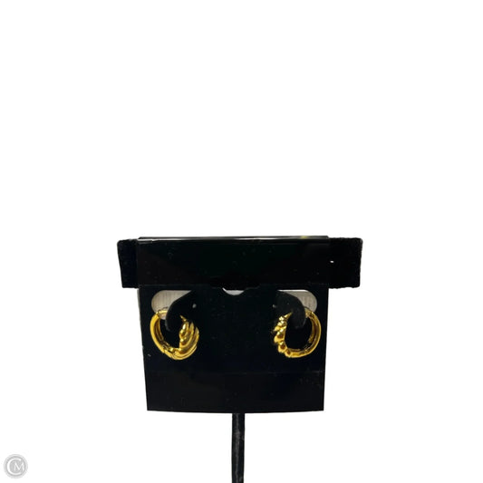 Earrings Hoop