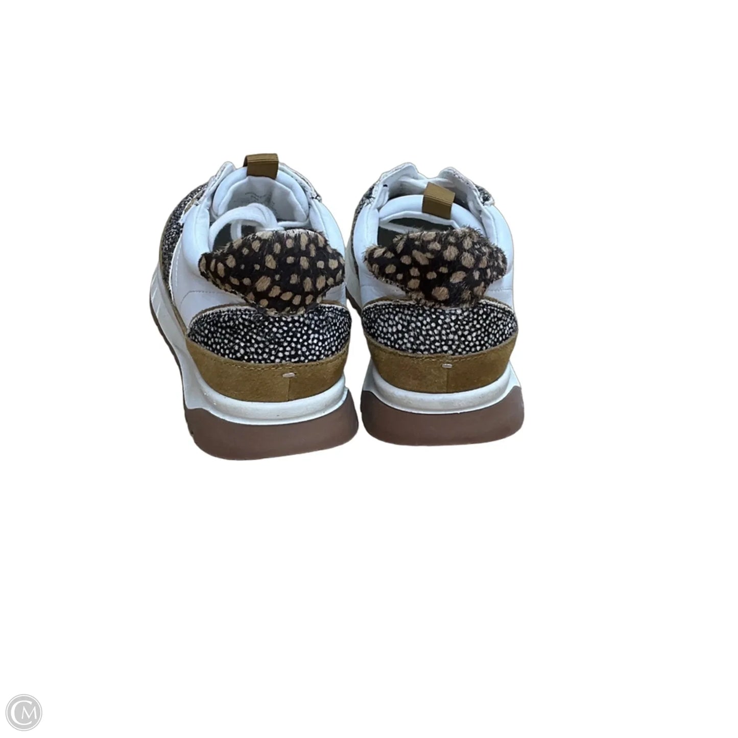 Shoes Sneakers By Madewell In Animal Print, Size: 8