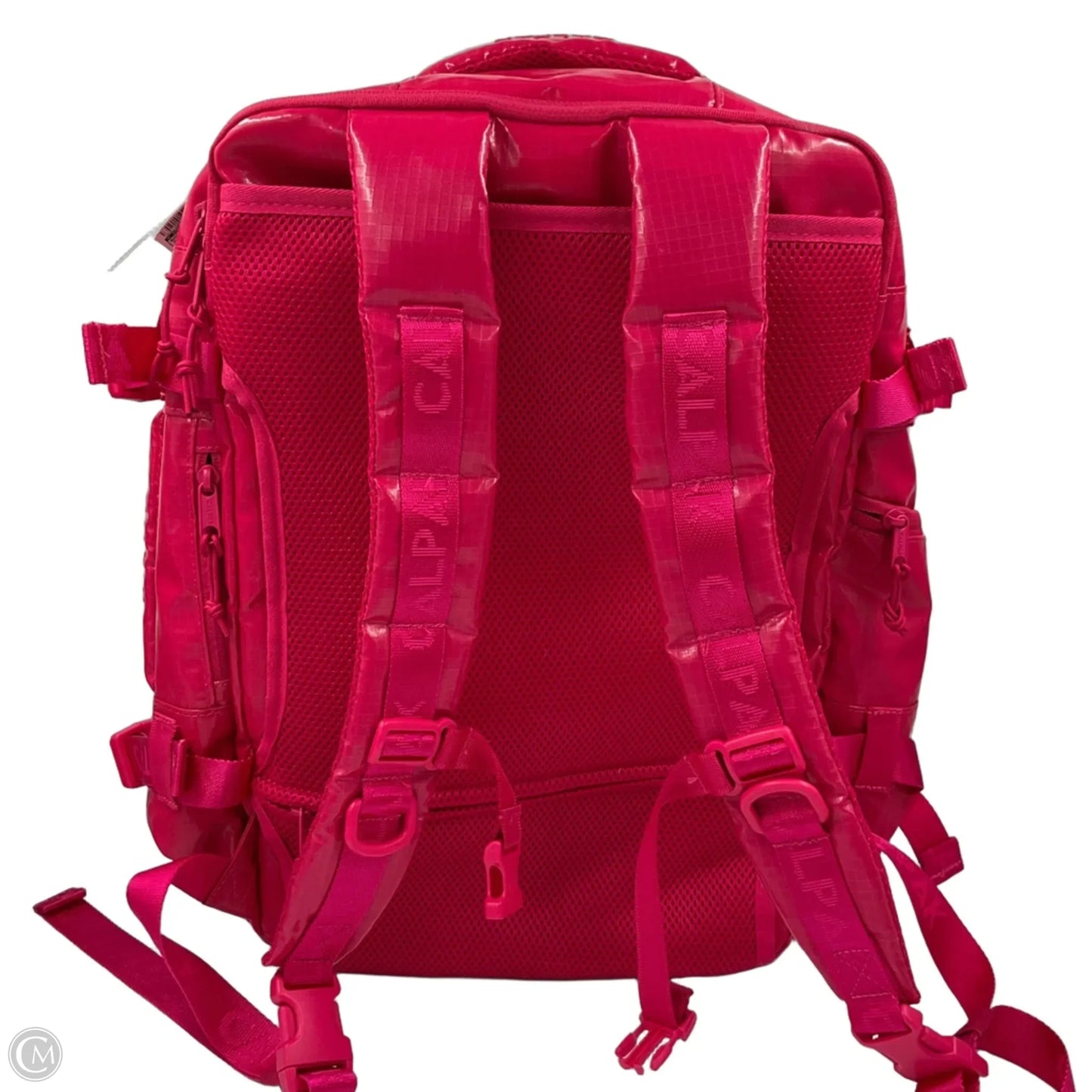 Backpack By Cma, Size: Large