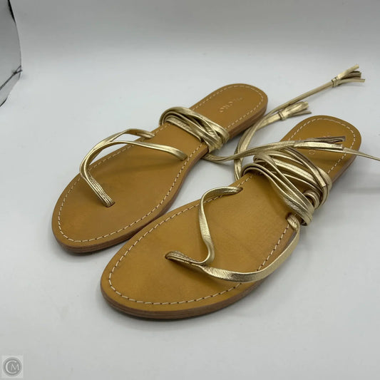 Sandals Flats By Pilcro In Gold, Size: 11
