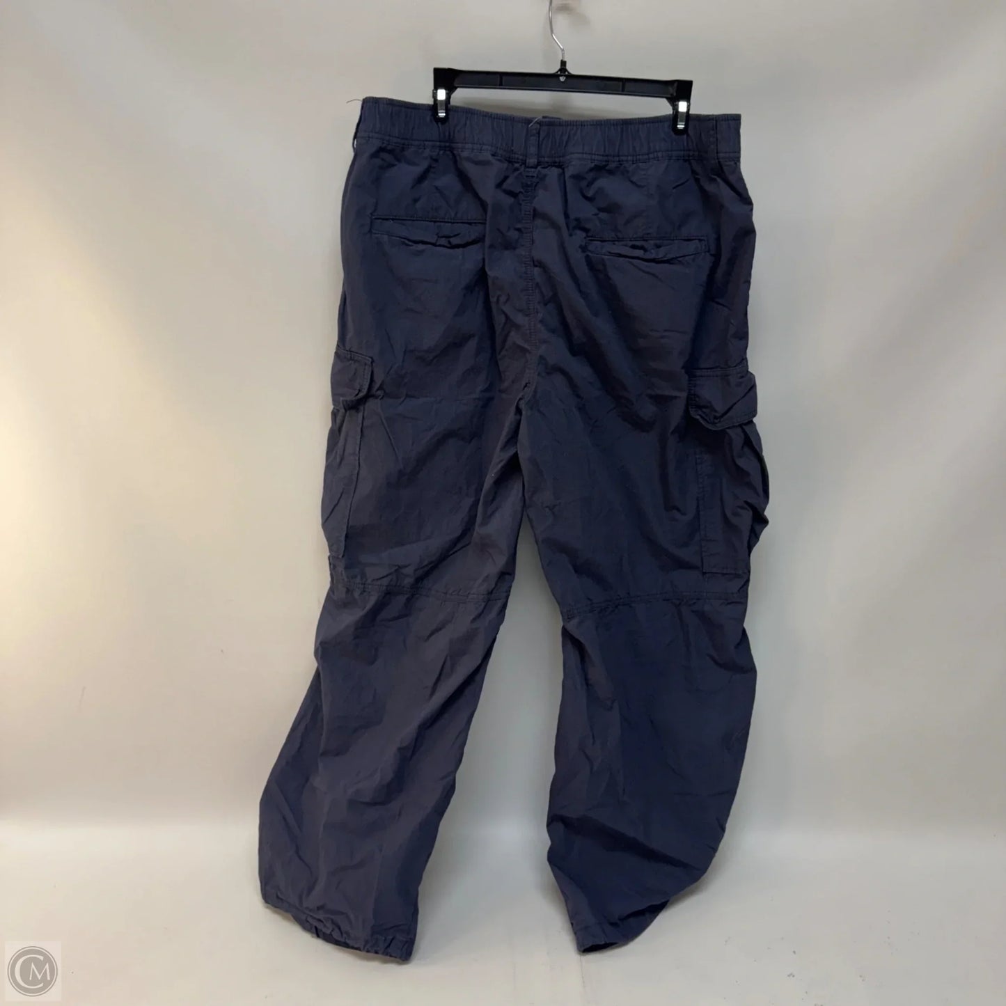 Pants Cargo & Utility By Anthropologie In Blue, Size: 22