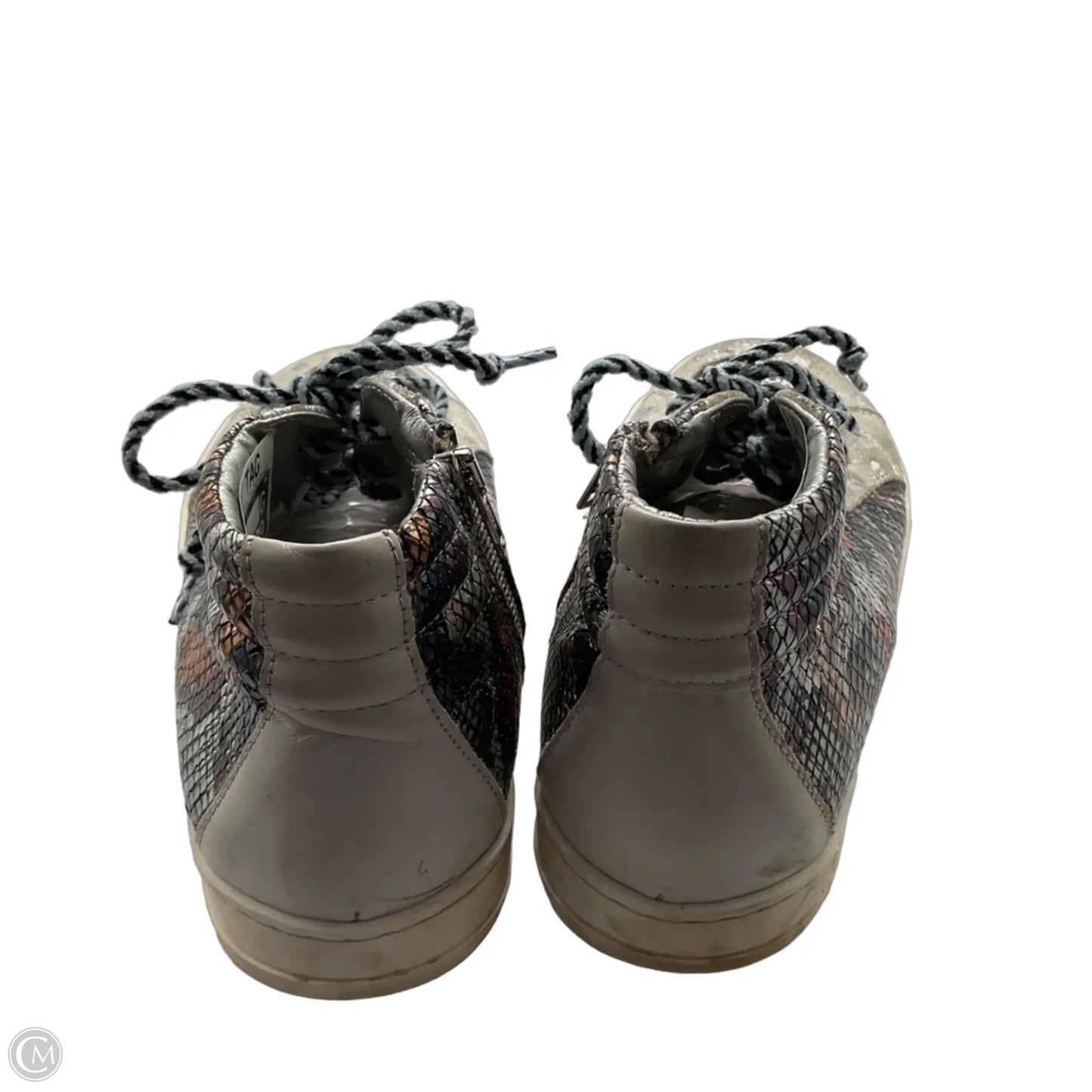 Shoes Sneakers By P448 In Snakeskin Print, Size: 10