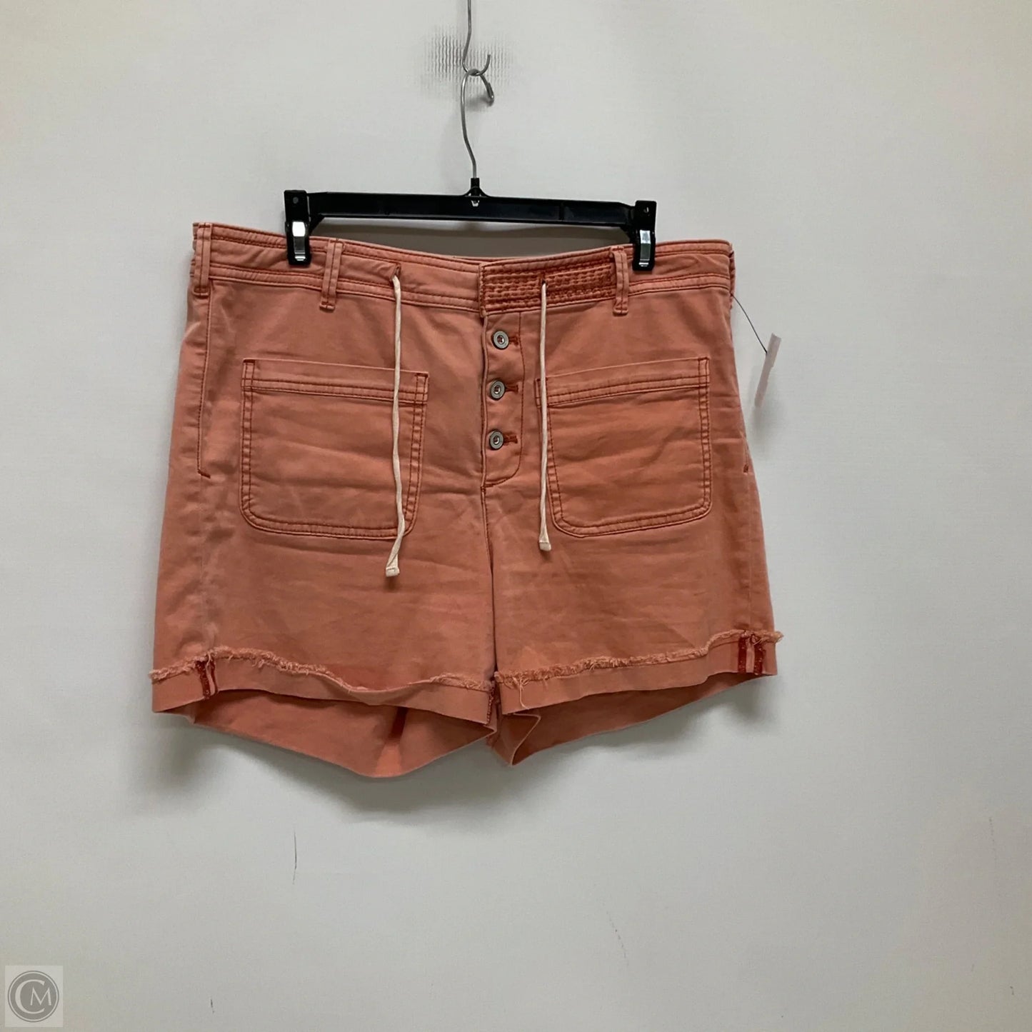 Shorts By Anthropologie In Peach, Size: 10