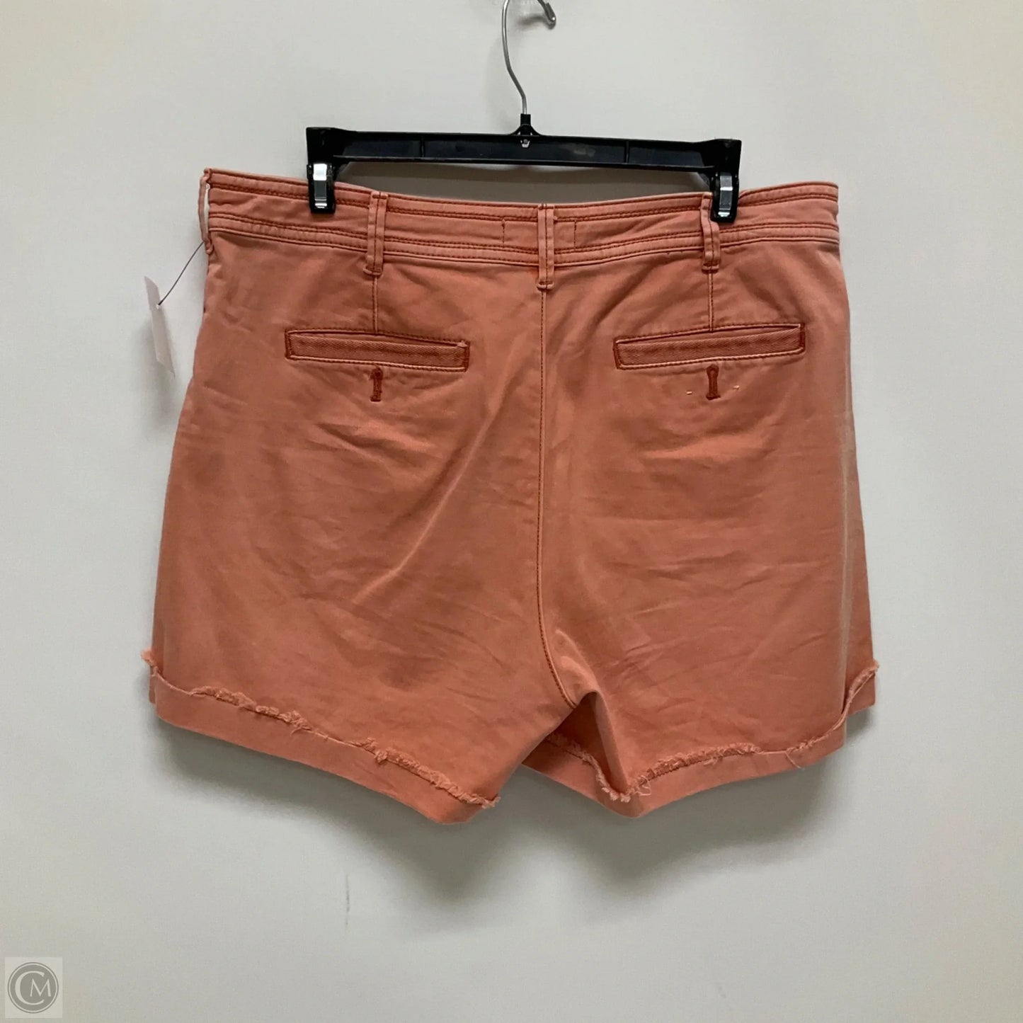 Shorts By Anthropologie In Peach, Size: 10