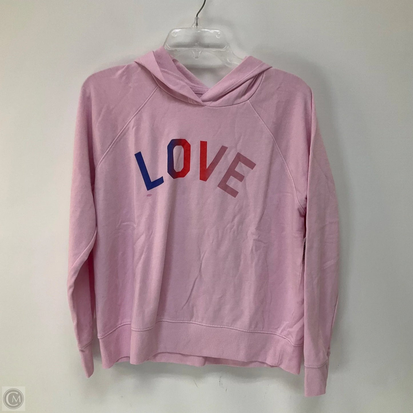 Sweatshirt Hoodie By Sundry In Pink, Size: S