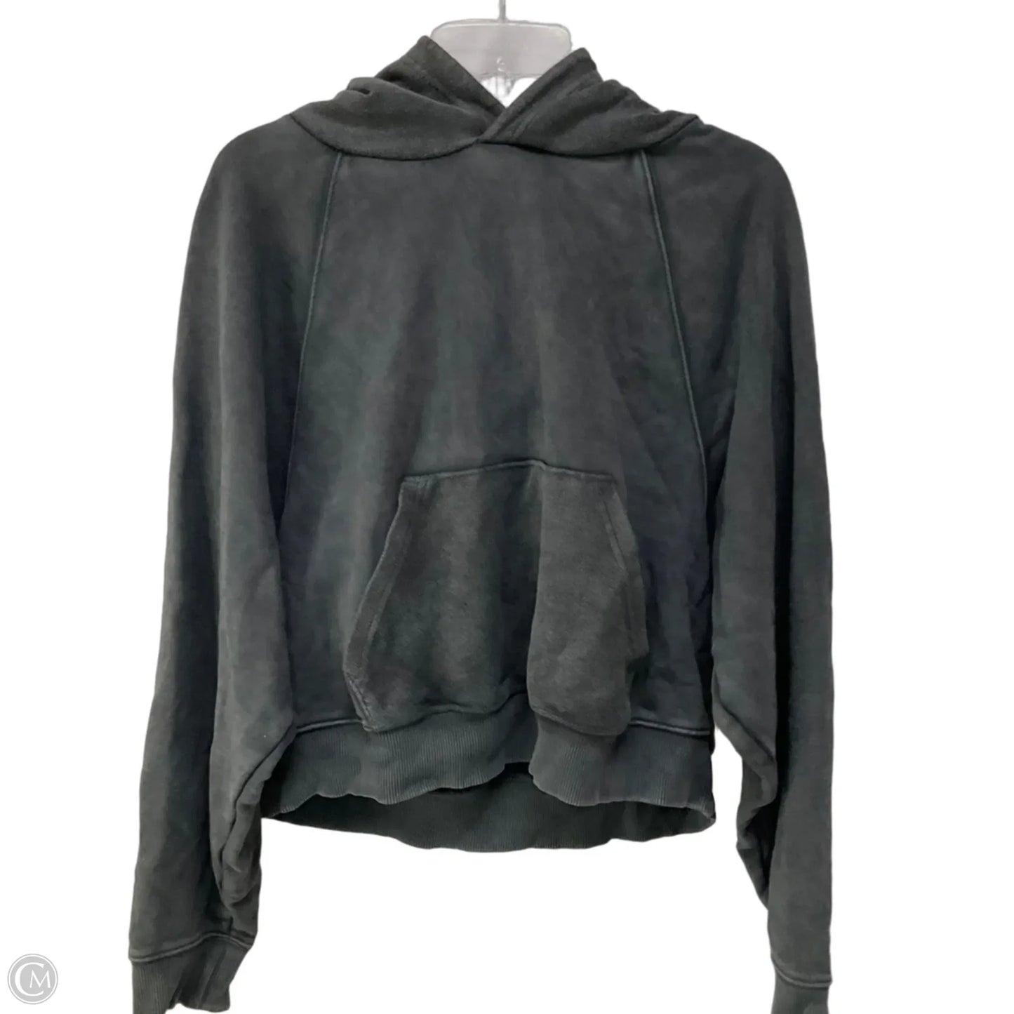 Sweatshirt Hoodie By Aerie In Grey, Size: L