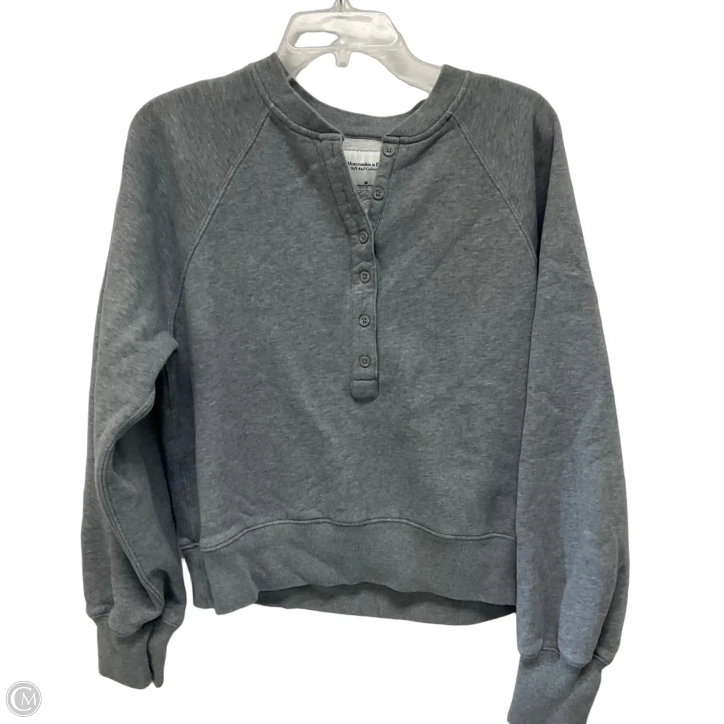 Sweatshirt Crewneck By Abercrombie And Fitch In Grey, Size: M