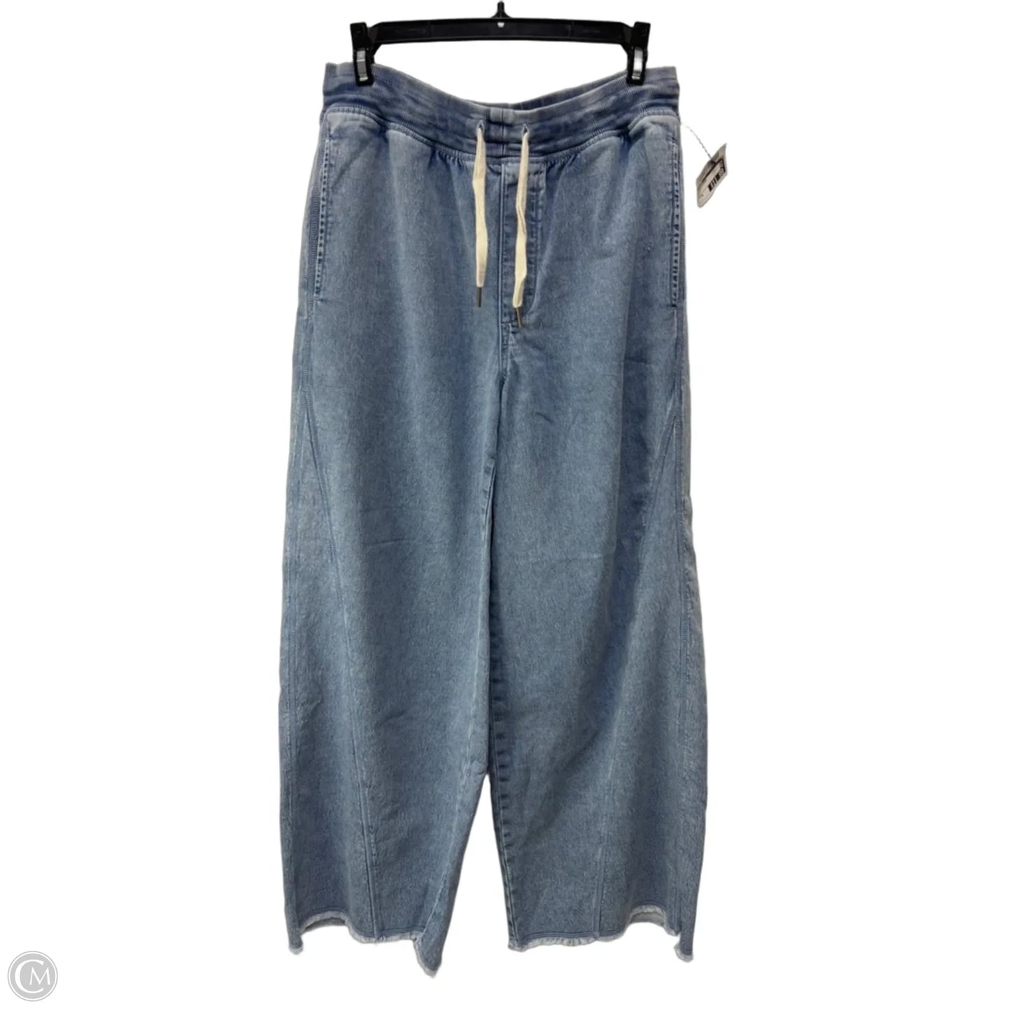 Pants Other By Aerie In Blue, Size: M