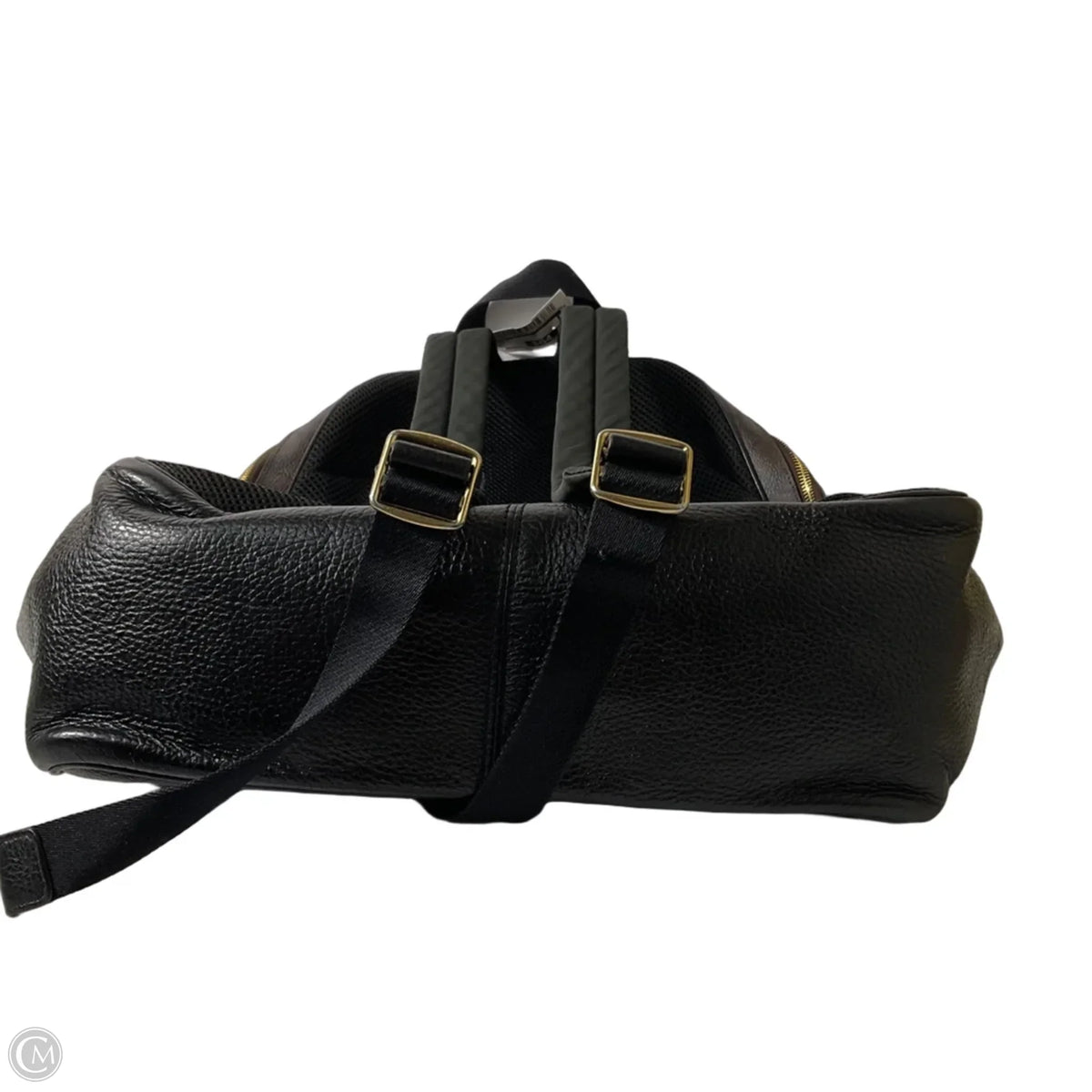 Backpack Designer By Coach, Size: Medium