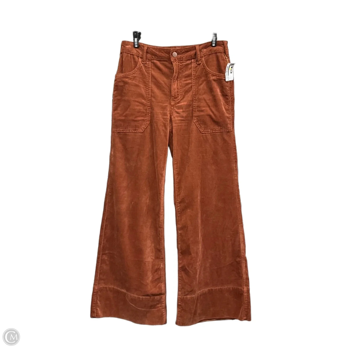Pants Corduroy By Pilcro In Brown, Size: 6