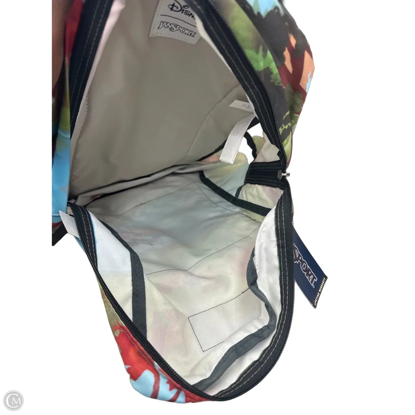 Backpack By Jansport, Size: Large
