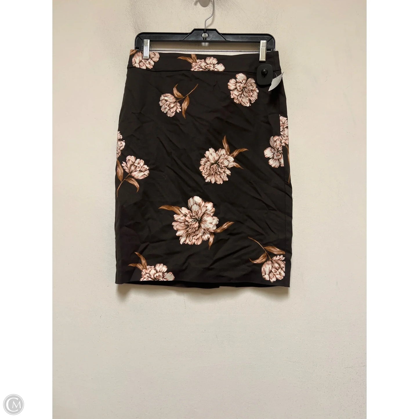 Skirt Mini & Short By Ann Taylor In Brown, Size: 2