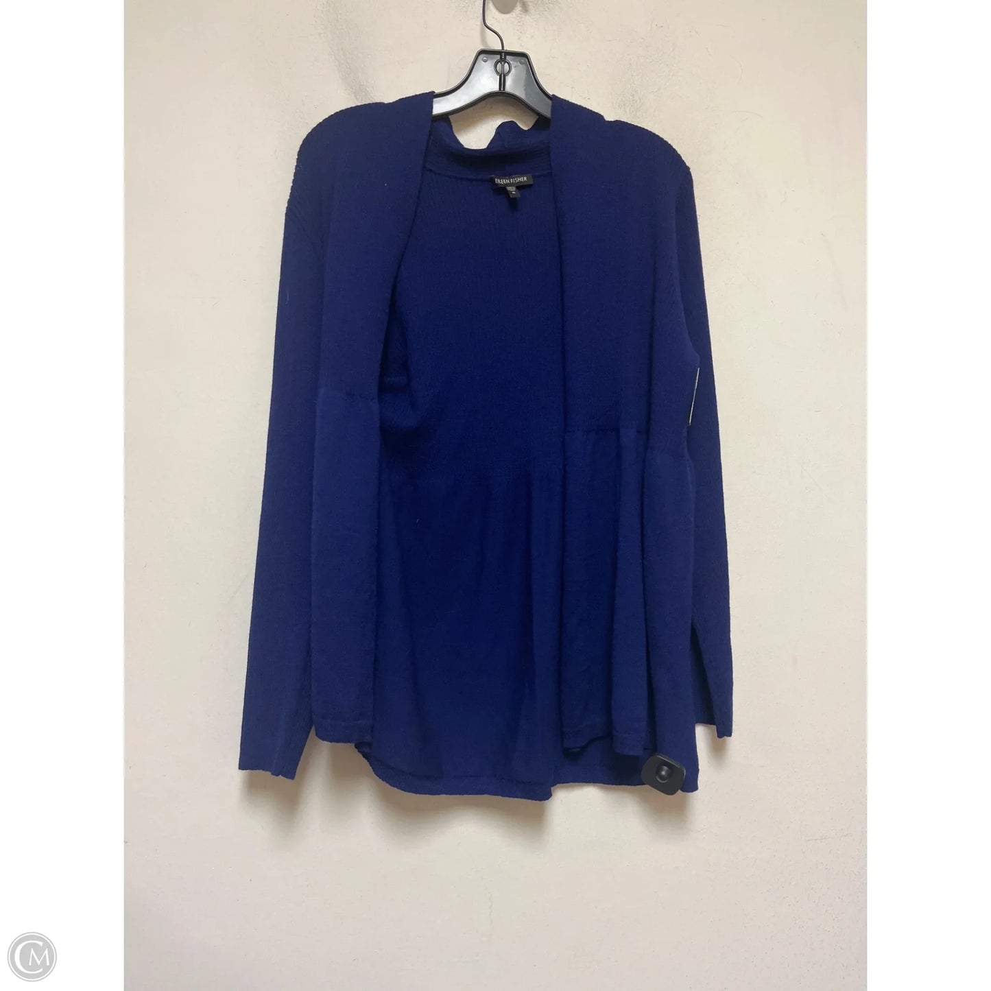 Sweater Cardigan By Eileen Fisher In Blue, Size: Xl