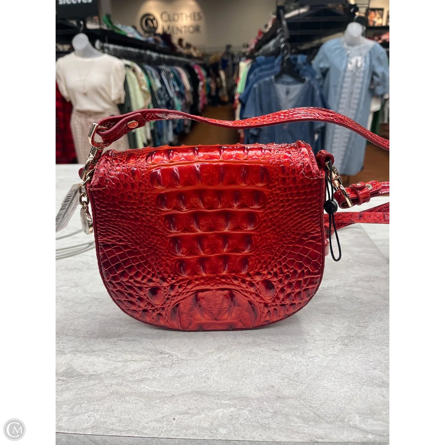 Crossbody Designer By Brahmin, Size: Small