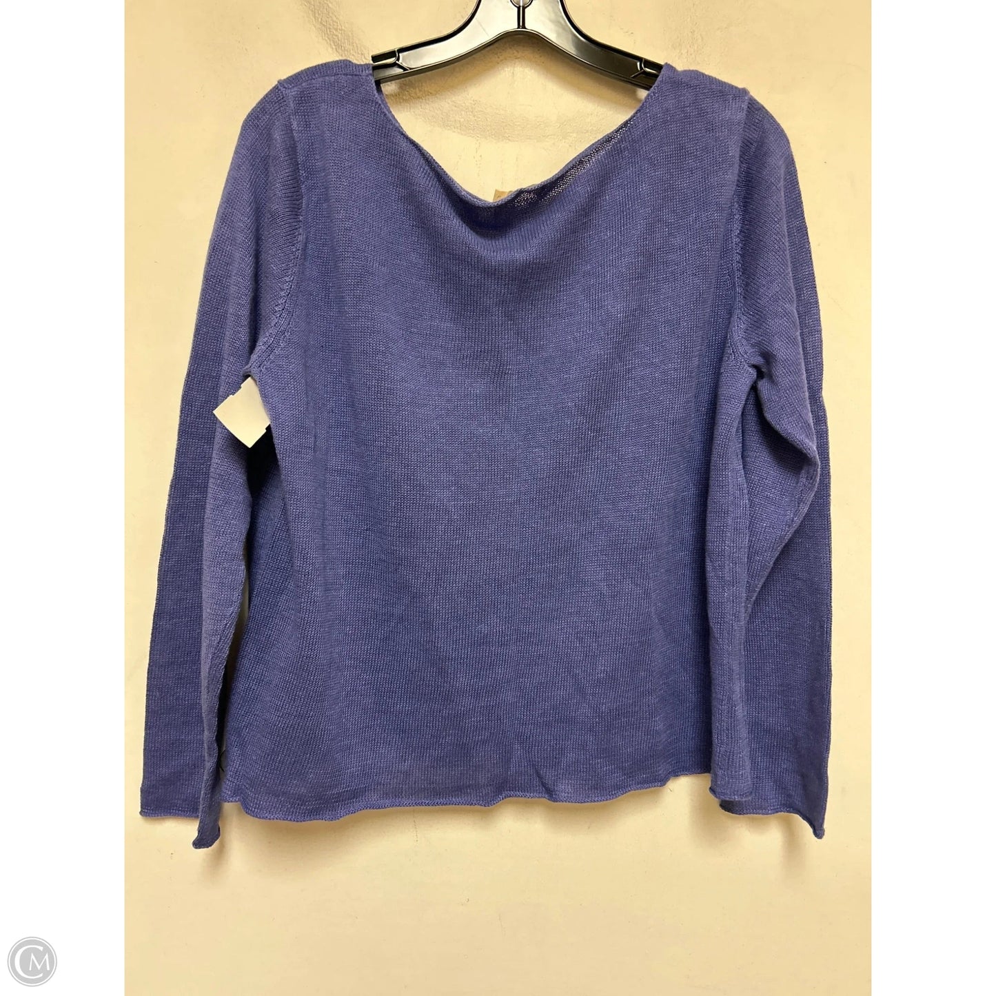 Top Long Sleeve By Eileen Fisher In Blue, Size: L