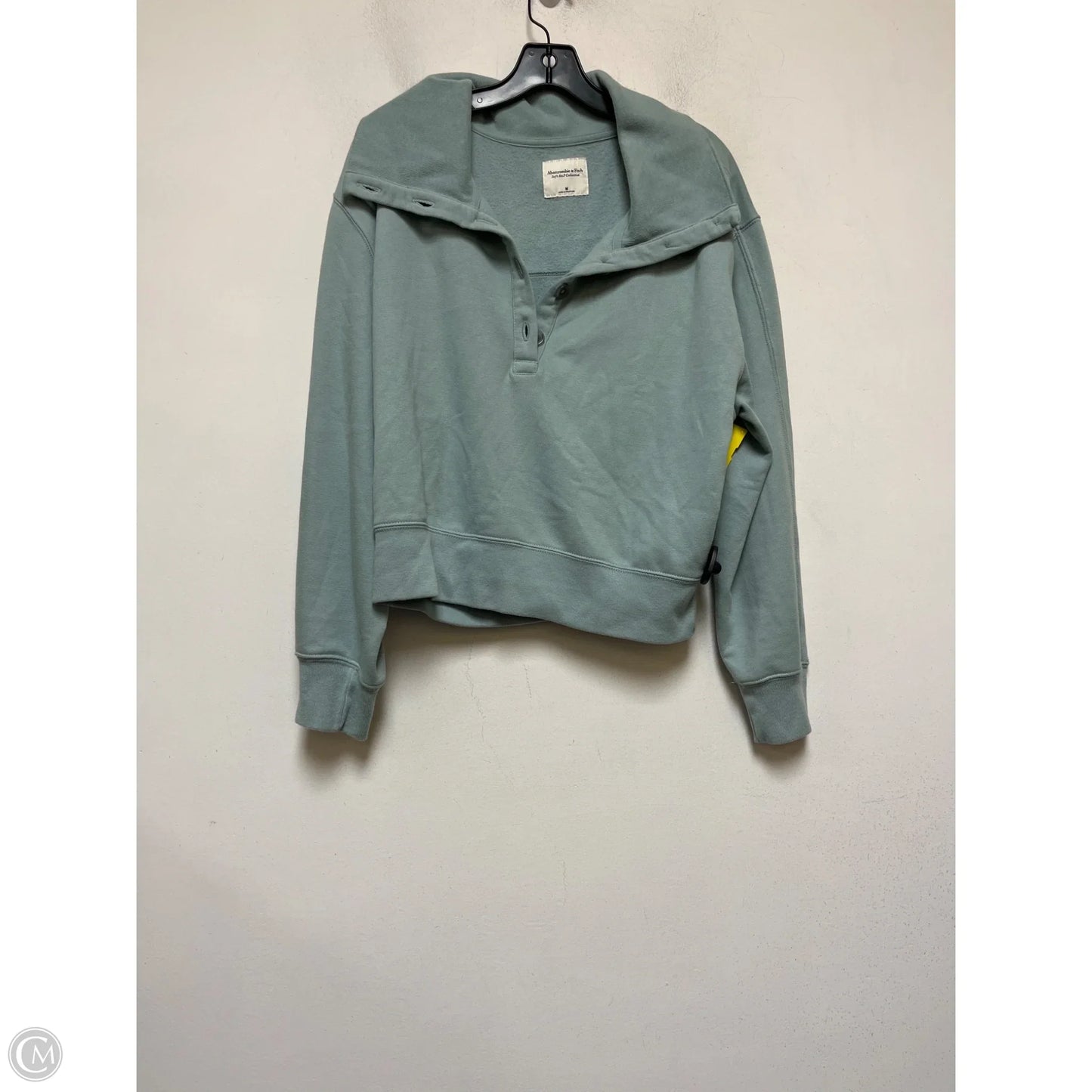 Top Long Sleeve By Abercrombie And Fitch In Teal, Size: M