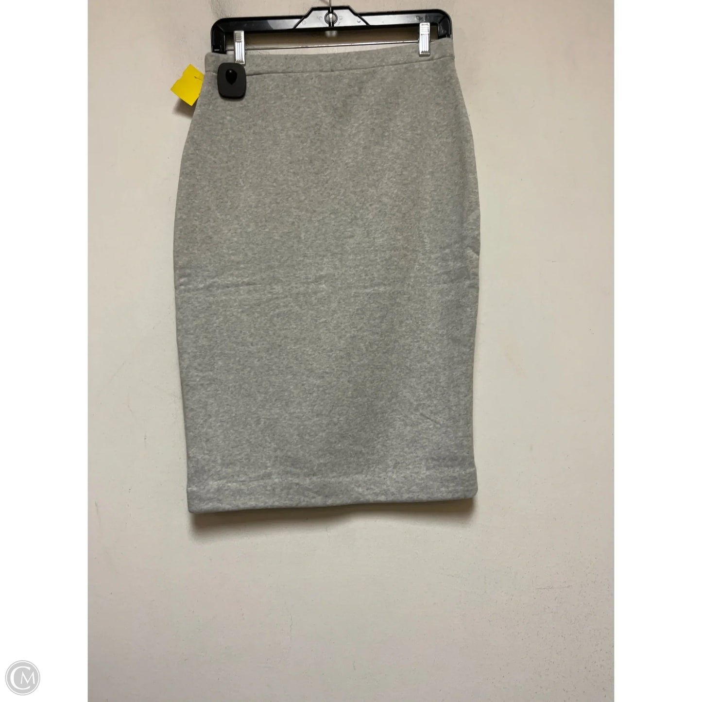 Skirt Mini & Short By Express In Grey, Size: 6
