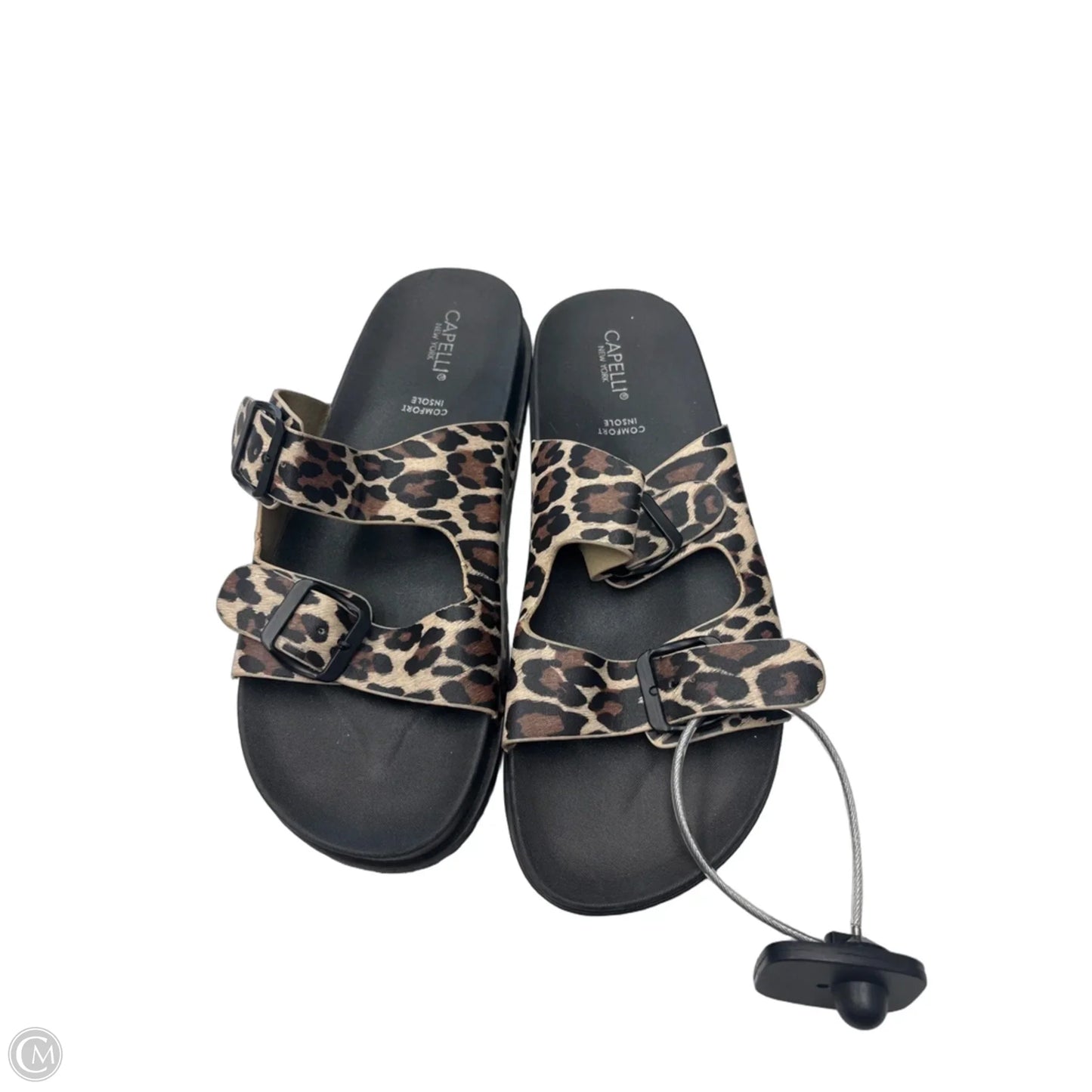 Sandals Flats By Capelli In Animal Print, Size: 8