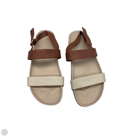 Sandals Designer By Tory Burch In Brown & Tan, Size: 9.5