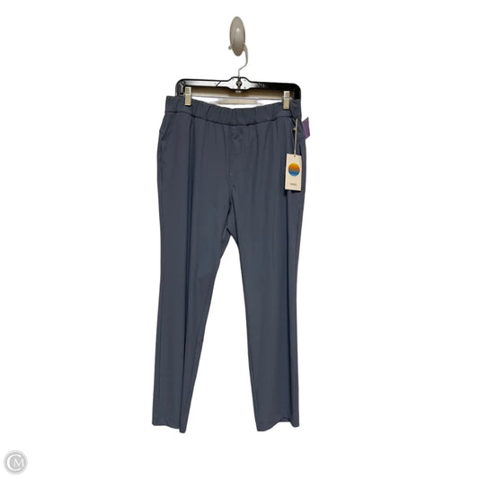 Athletic Pants By Vuori In Blue, Size: L