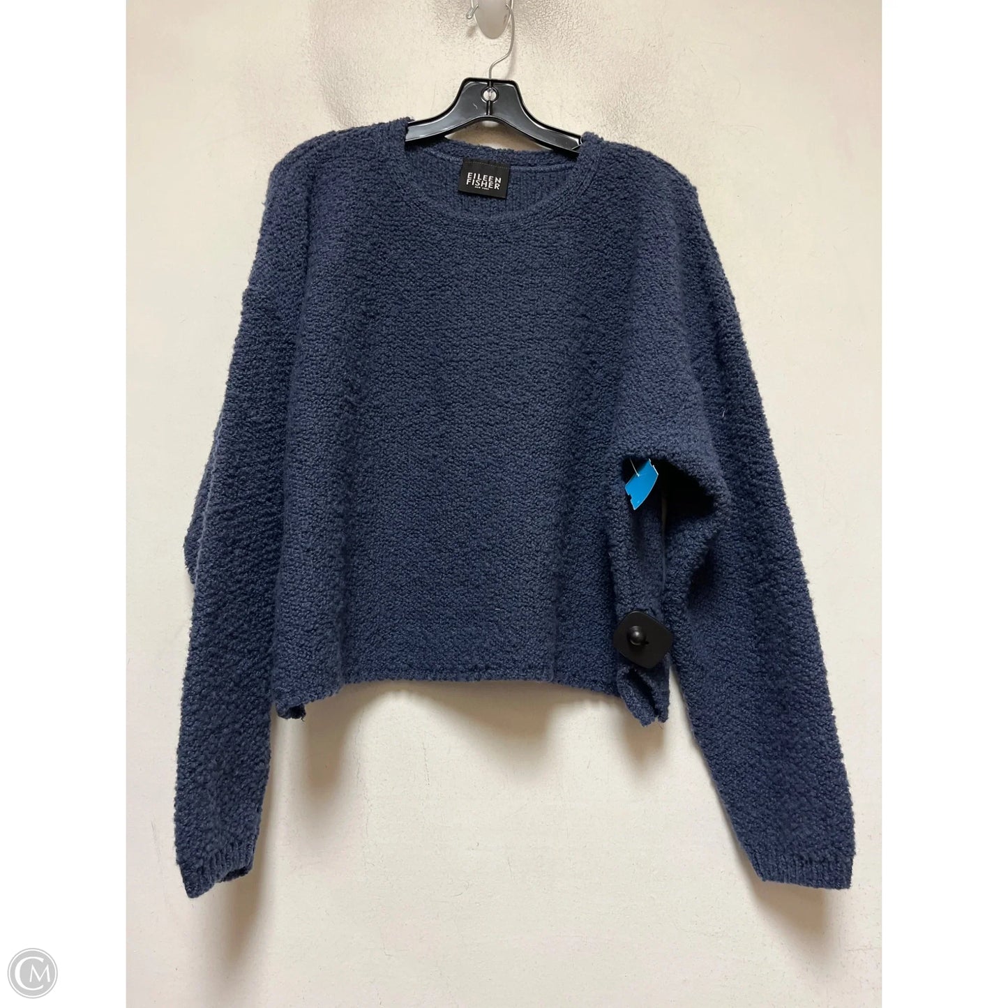 Sweater By Eileen Fisher In Blue, Size: M