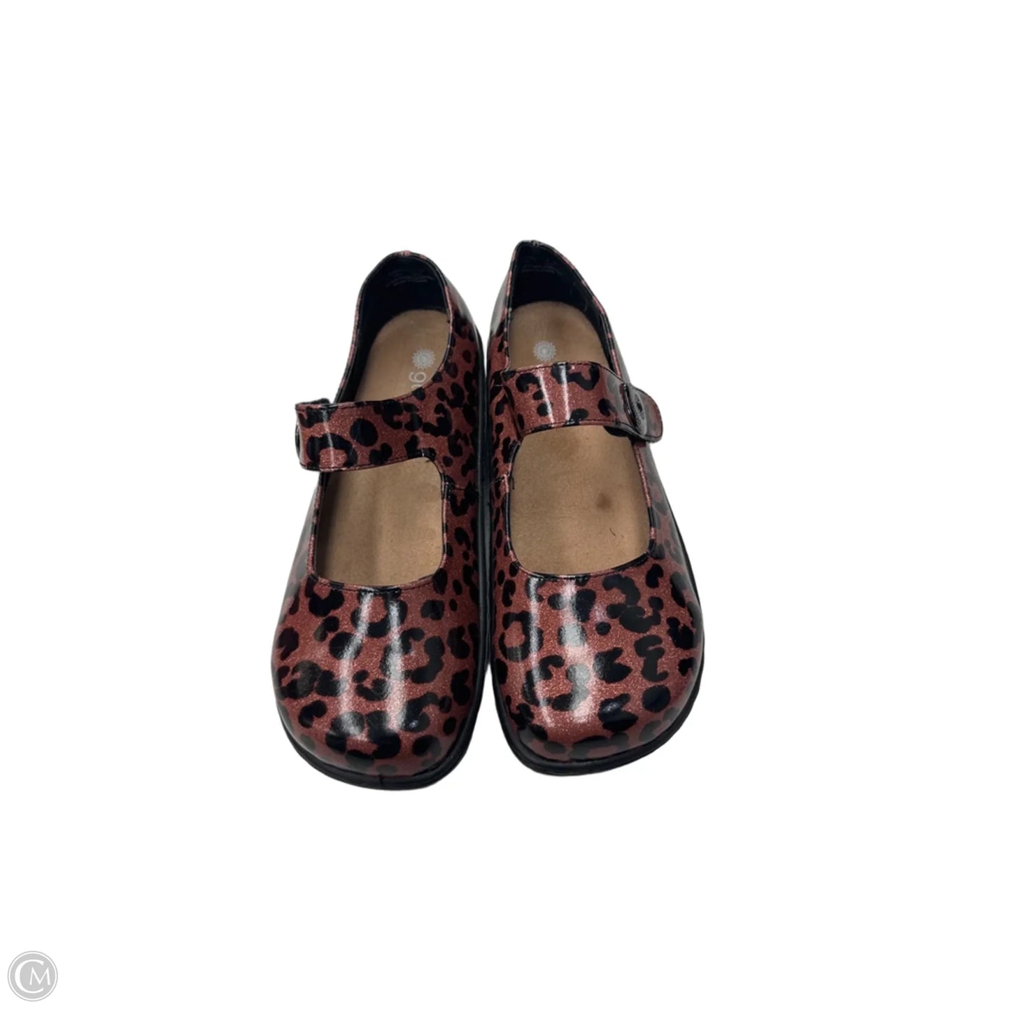 Shoes Flats By Clothes Mentor In Animal Print, Size: 8