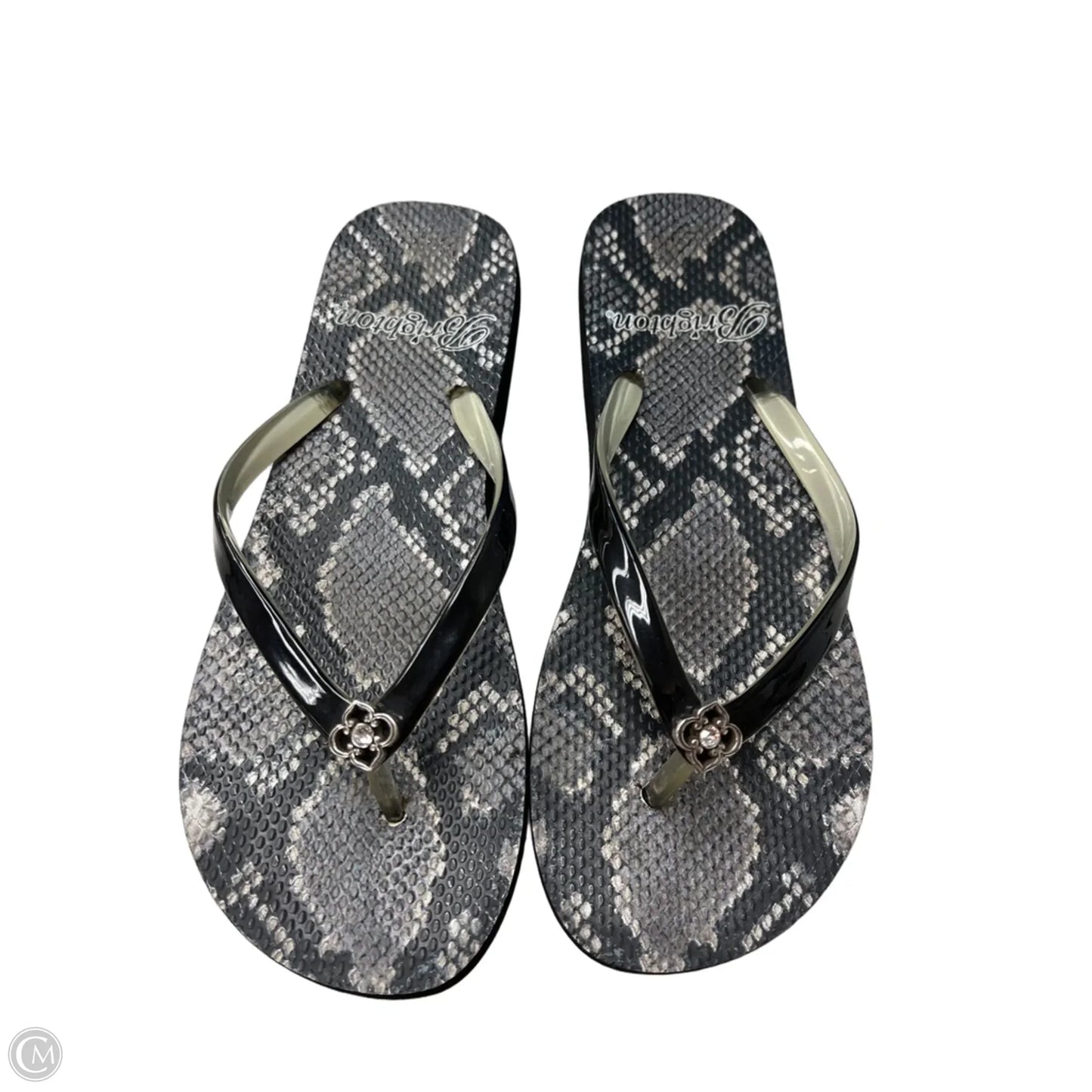 Sandals Flip Flops By Brighton In Snakeskin Print, Size: 7
