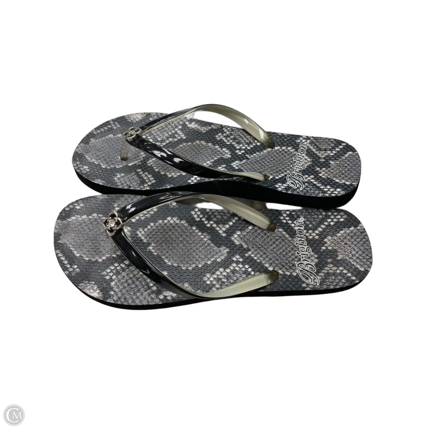 Sandals Flip Flops By Brighton In Snakeskin Print, Size: 7