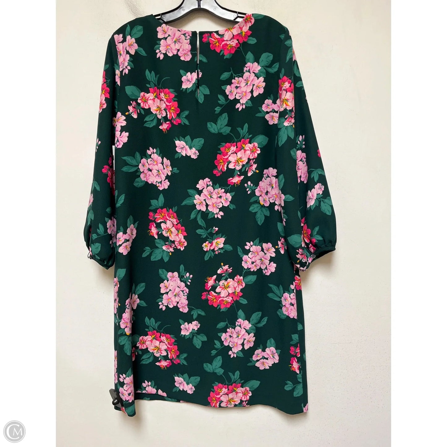 Dress Casual Short By Ann Taylor In Floral Print, Size: Xl