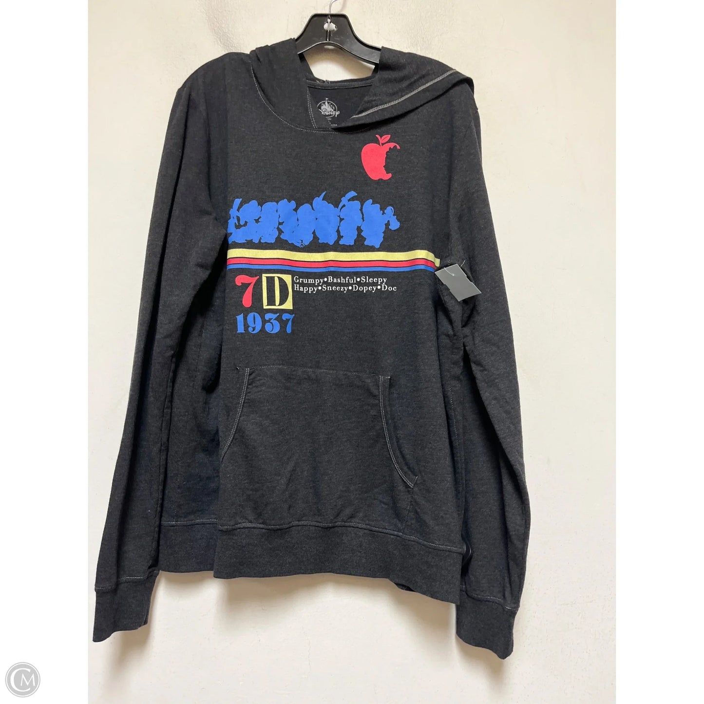 Sweatshirt Hoodie By Disney In Grey, Size: 2x