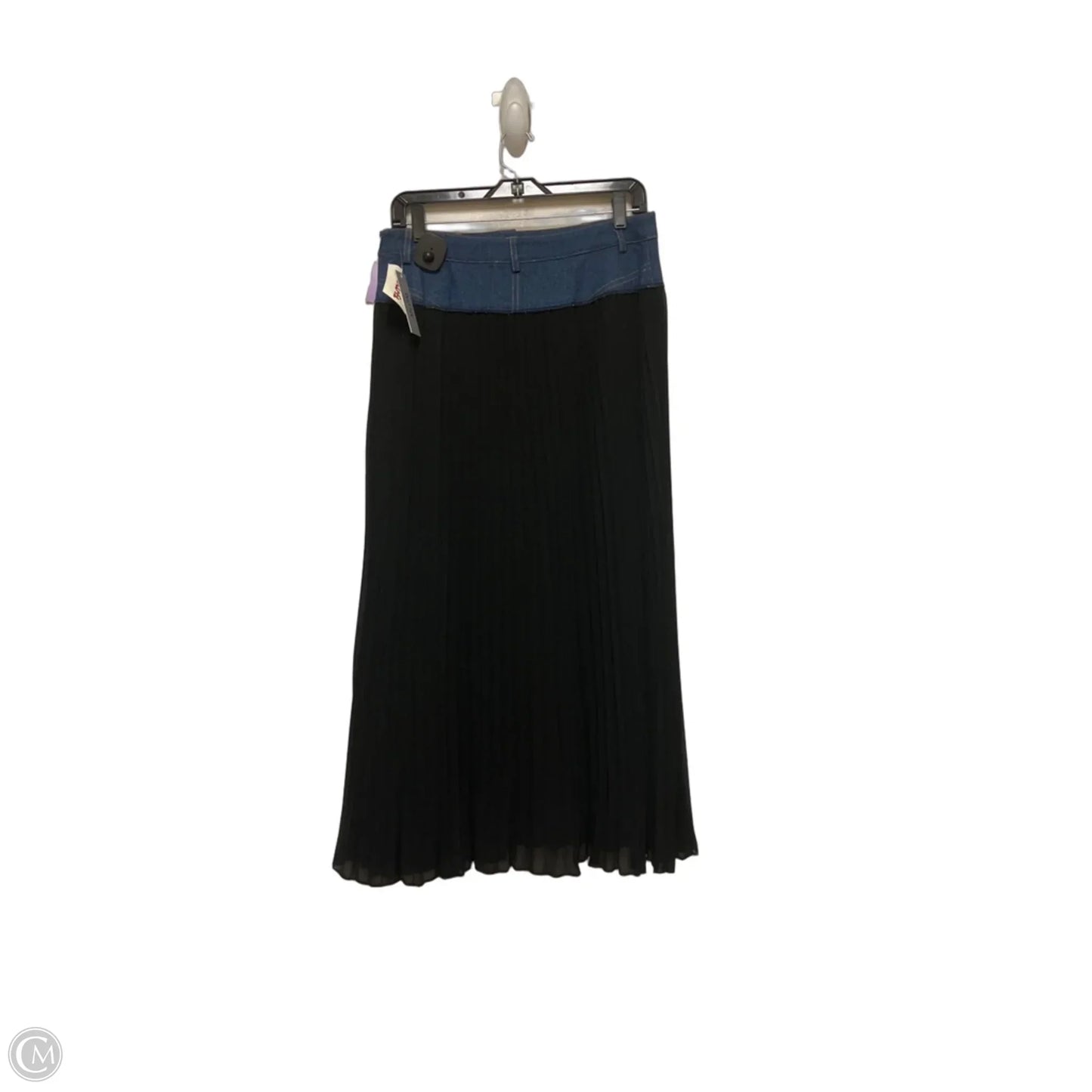 Skirt Maxi By Wdny In Black, Size: S