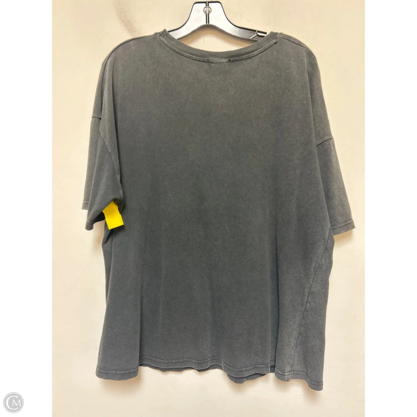 Top Short Sleeve By Zara In Grey, Size: Xl