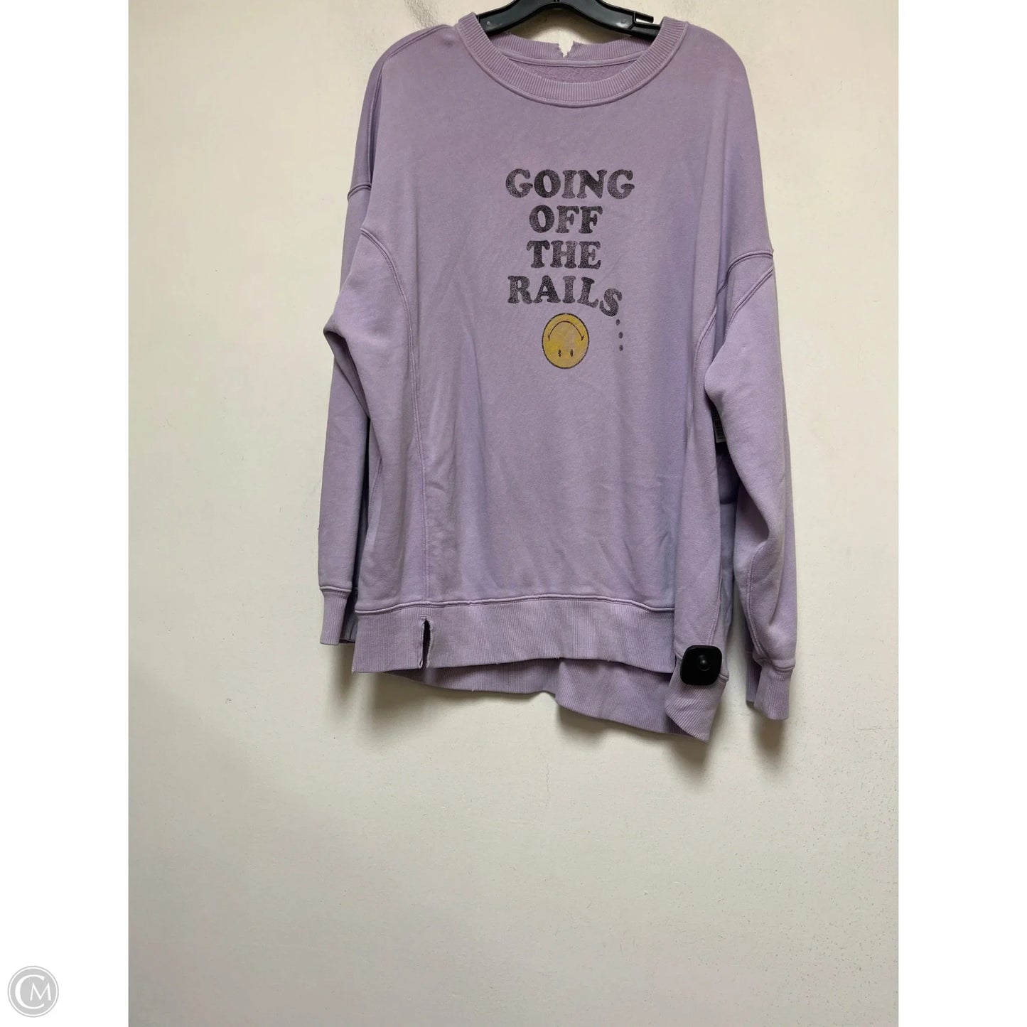 Sweatshirt Hoodie By Aerie In Purple, Size: M