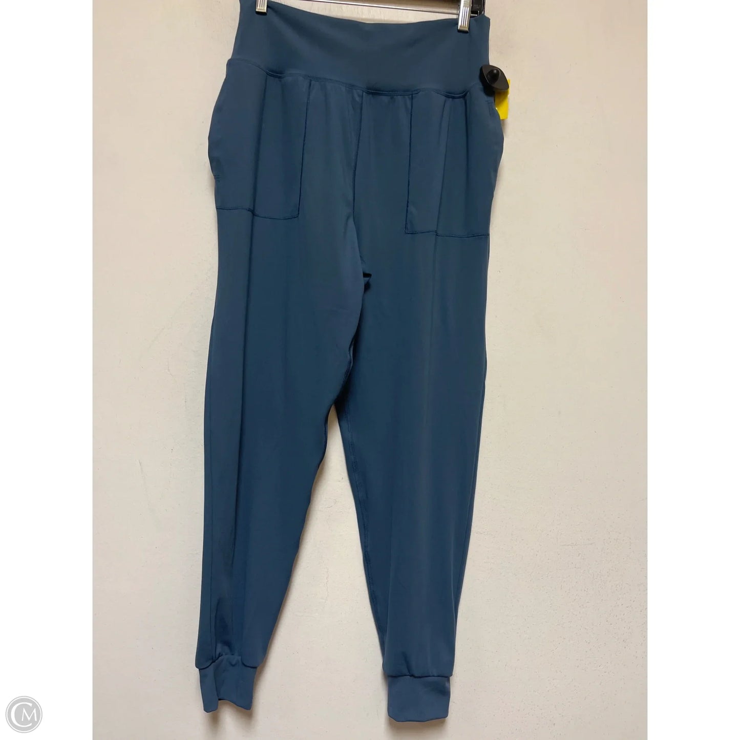 Athletic Pants By Crane In Blue, Size: M