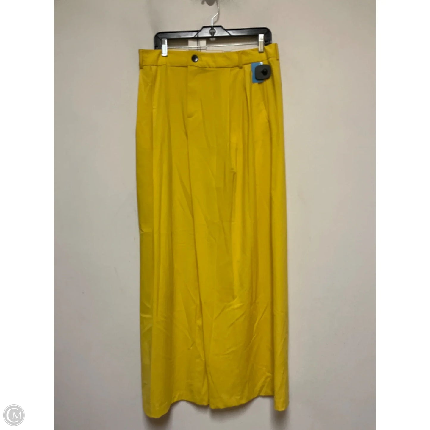 Pants Other By Zara In Yellow, Size: 14