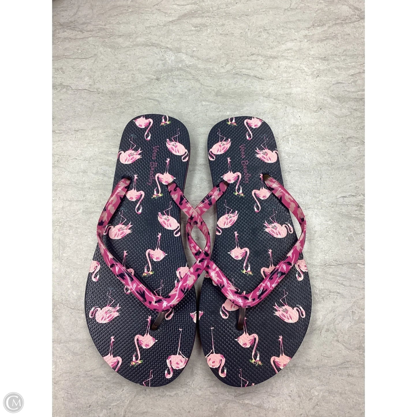 Sandals Flip Flops By Vera Bradley In Blue & Pink, Size: 7.5