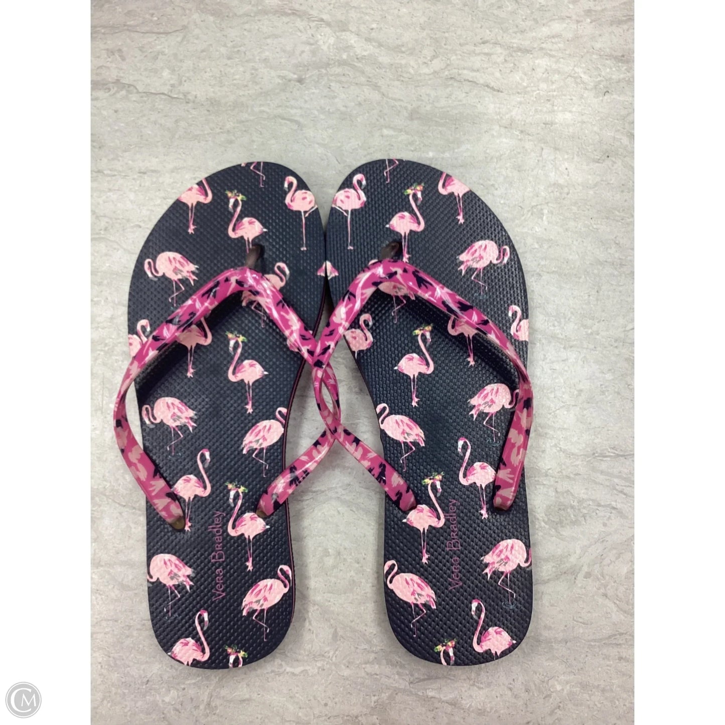 Sandals Flip Flops By Vera Bradley In Blue & Pink, Size: 7.5