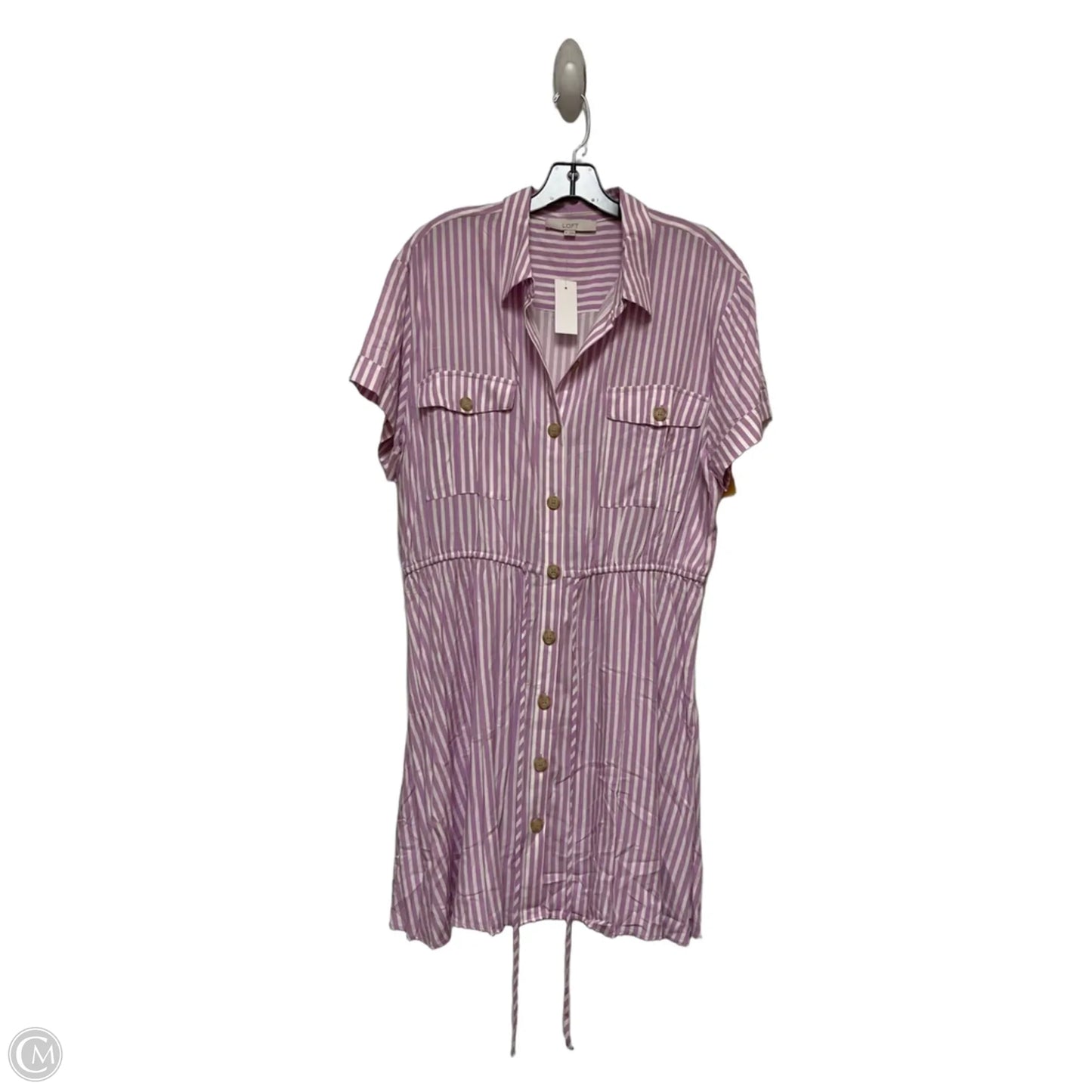 Dress Casual Short By Loft In Striped Pattern, Size: Xl