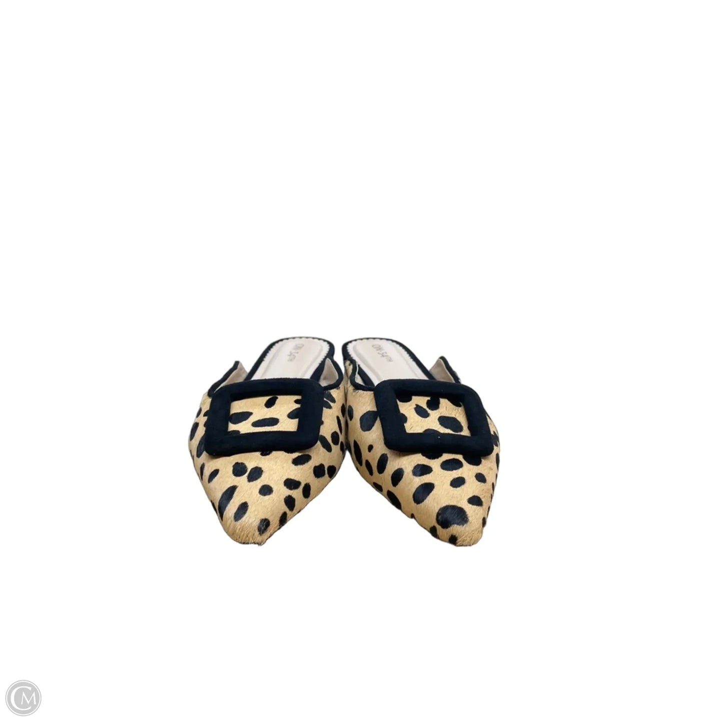 Shoes Flats By On 34th In Animal Print, Size: 9