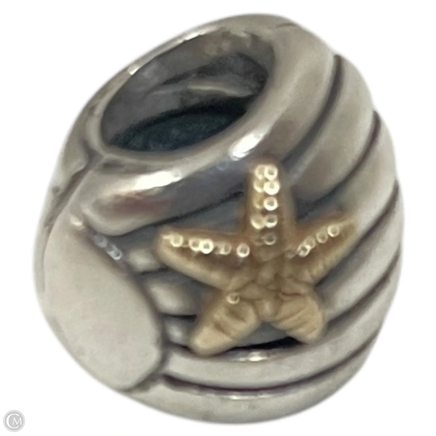 Accessory Tag By Pandora