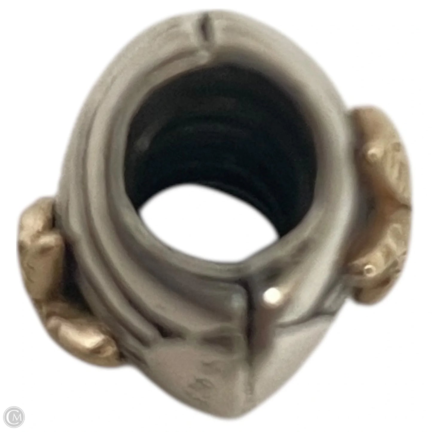 Accessory Tag By Pandora