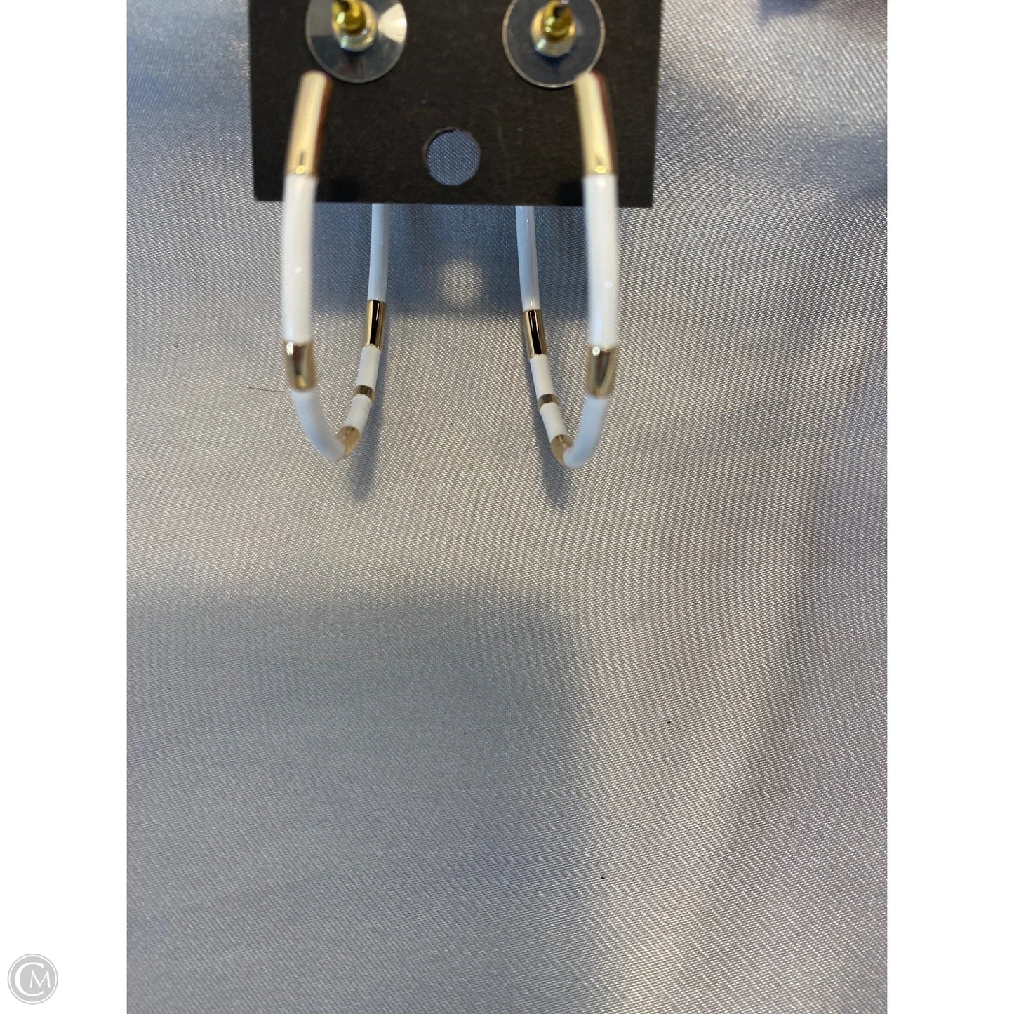 Earrings Hoop By Park Lane