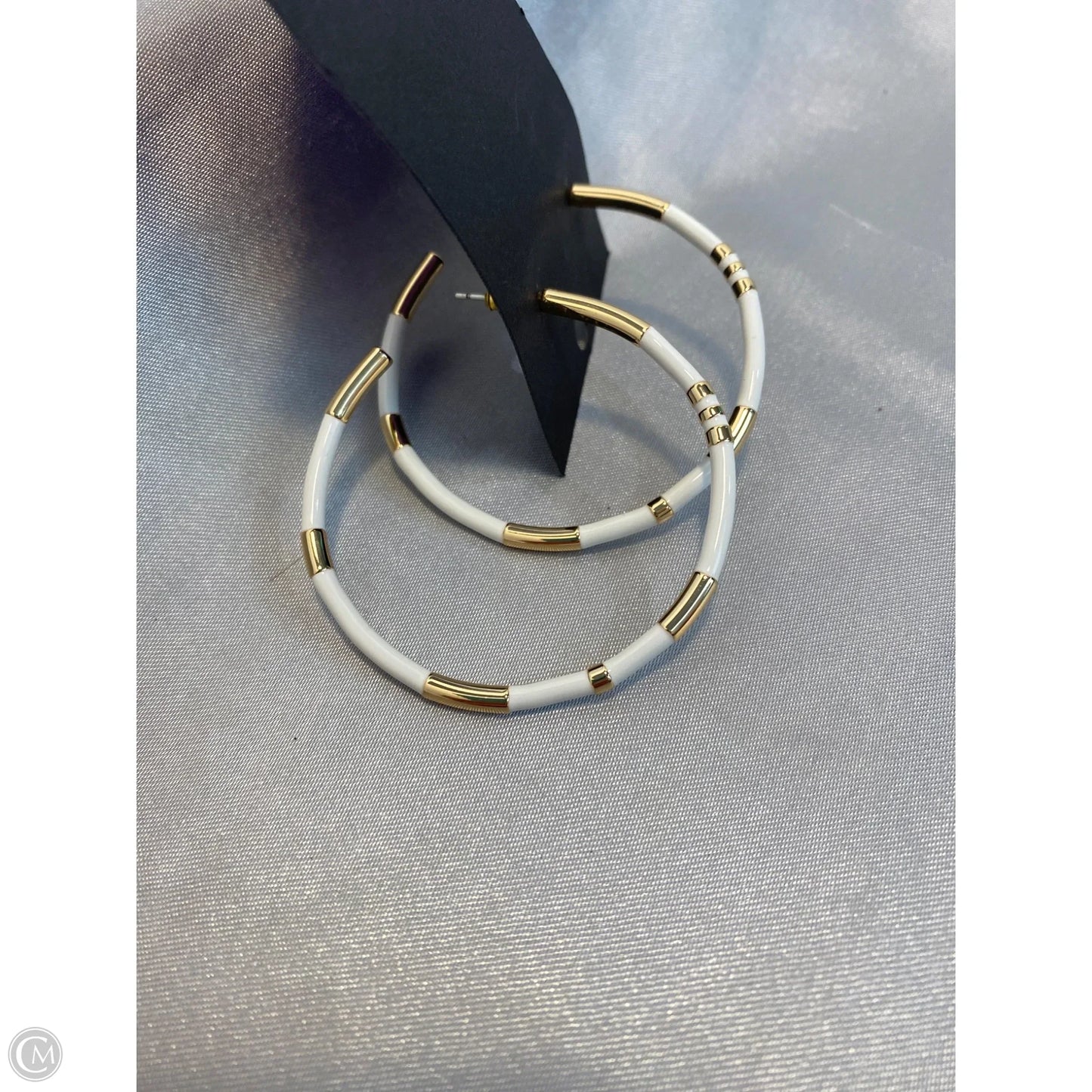 Earrings Hoop By Park Lane