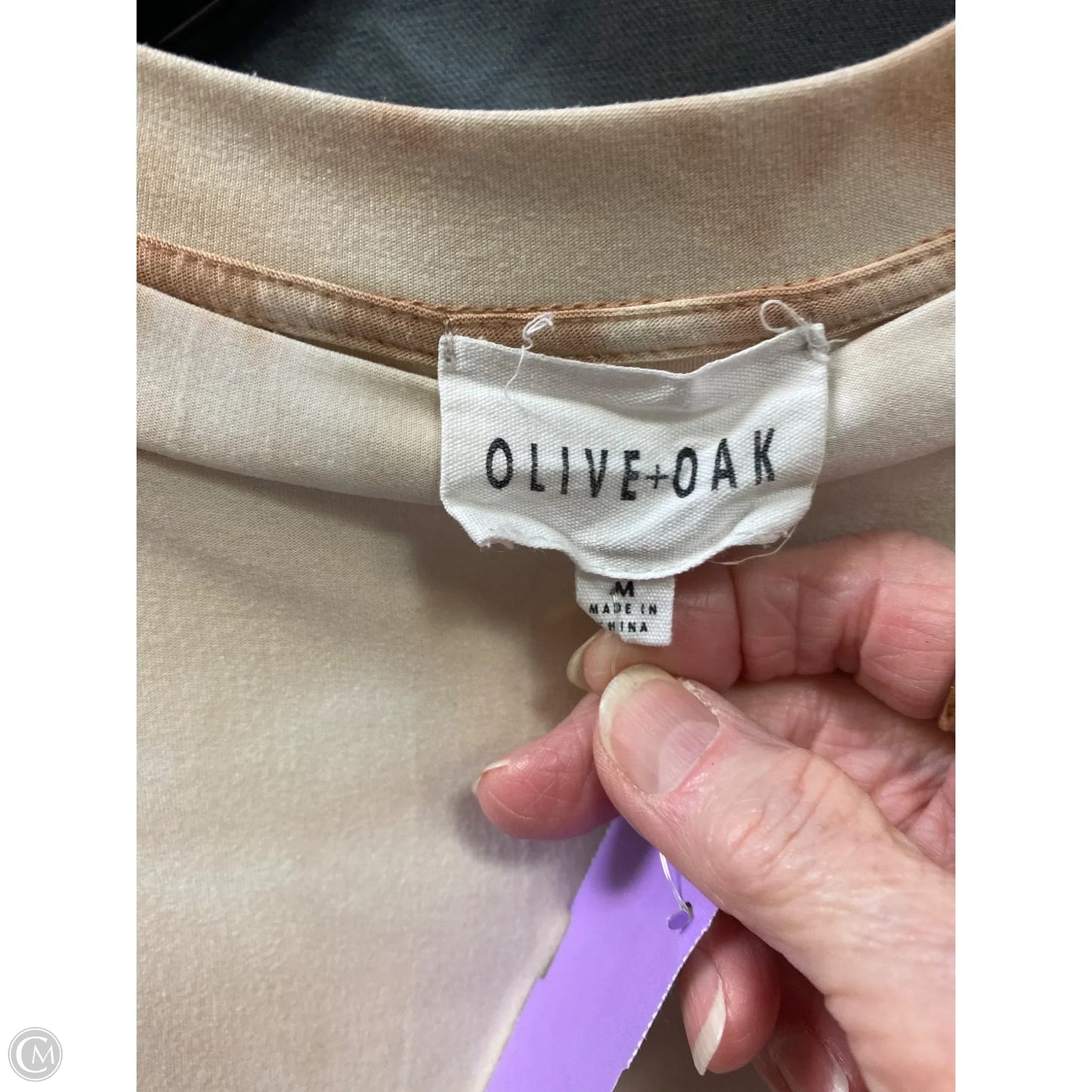 Top Long Sleeve By Olive And Oak In Cream, Size: M